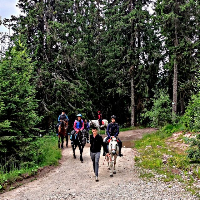 Hitachi Hikers 4